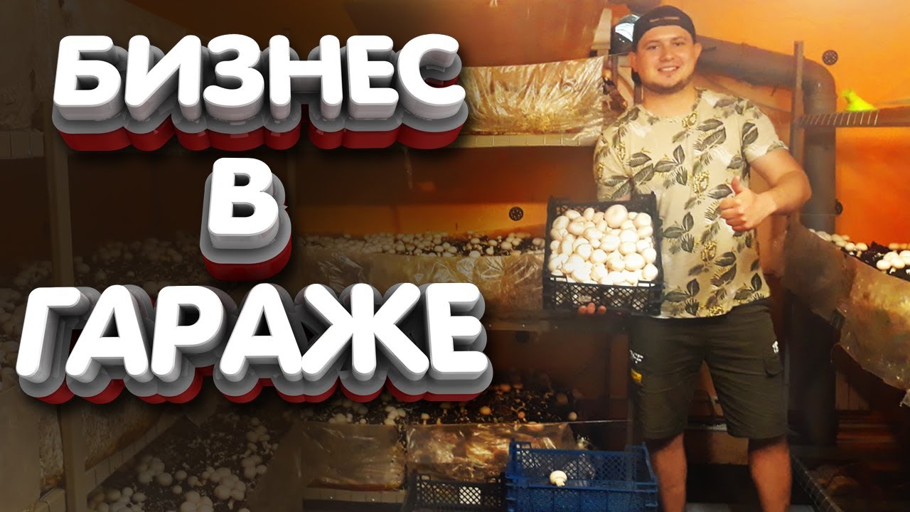 СКОЛЬКО МОЖНО ЗАРАБОТАТЬ НА ГРИБАХ ? БИЗНЕС В ГАРАЖЕ - ШАМПИНЬОНЫ