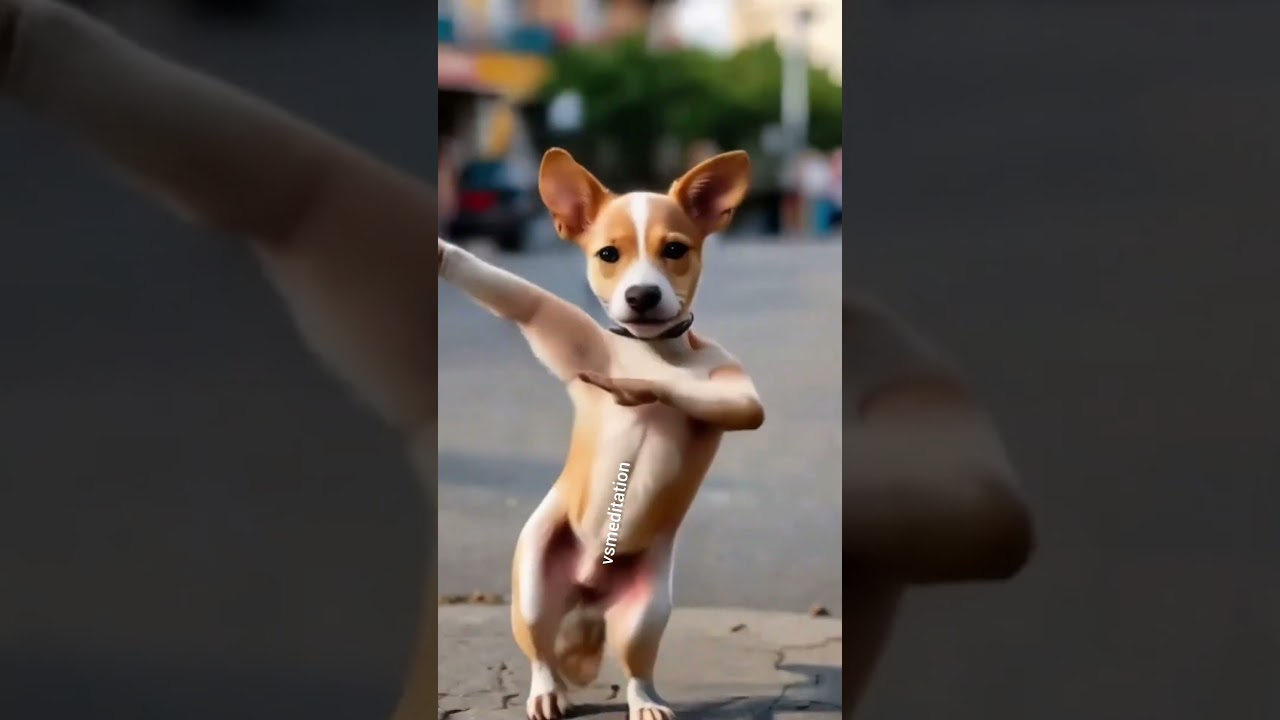 Puppy’s Reaction to New Things! 🐶😲 You’ll Love This! 