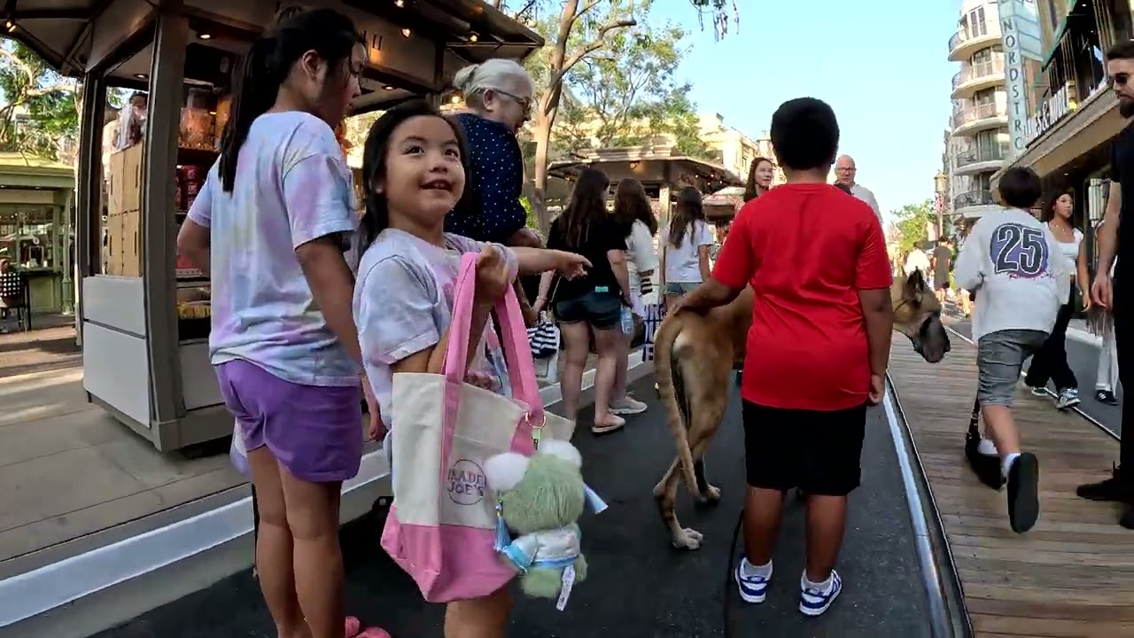 Cash 2.0 Great Dane at the Americana at Brand in Glendale, California 27