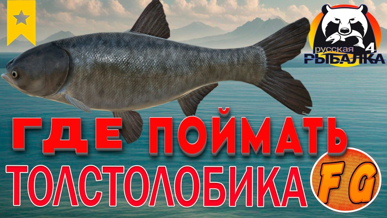 ГДЕ ПОЙМАТЬ ТРОФЕЙНОГО ТОЛСТОЛОБИКА. Russian Fishing 4. рр4. Толстолобик пестрый р. Сура.