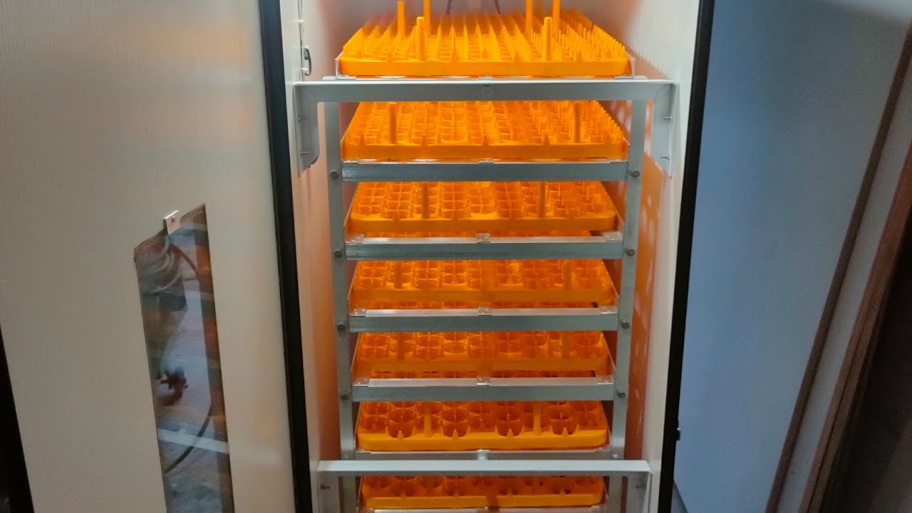 1080 CAPACITY EGG INCUBATOR/JUANTINKER