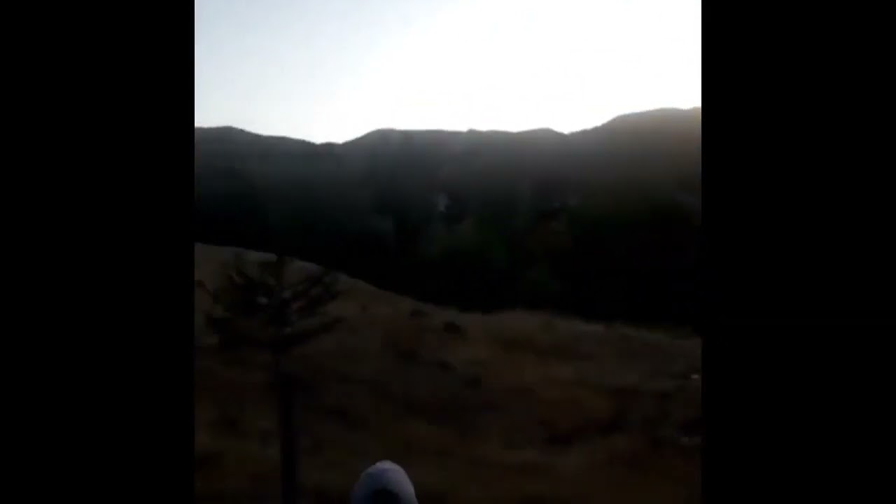 çaye berbena