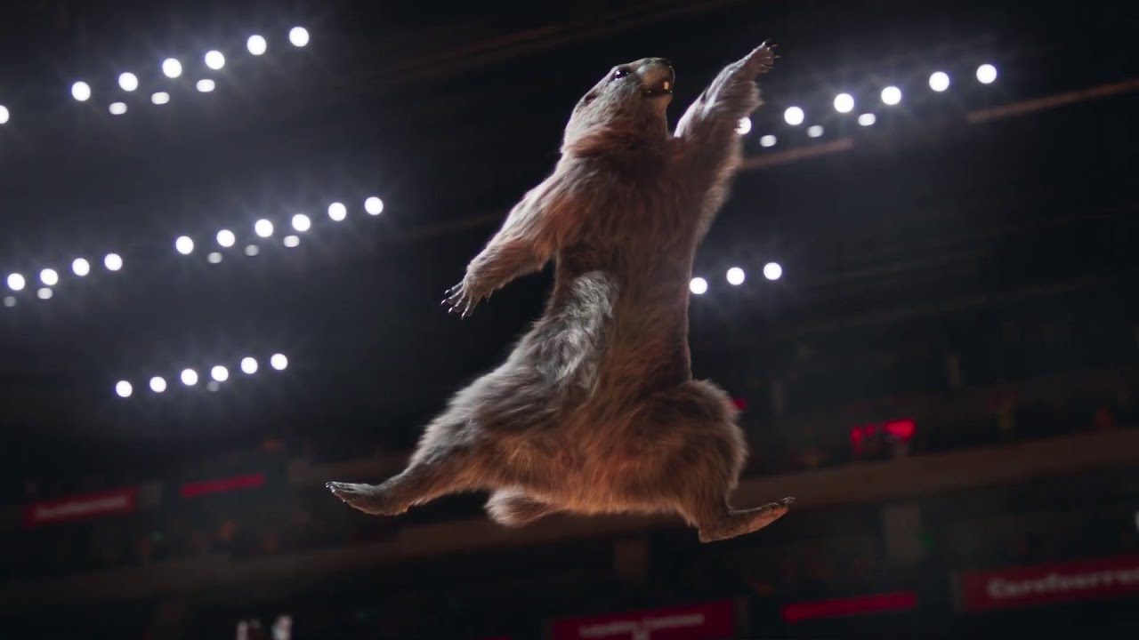 Toutes les marmottes de France 3