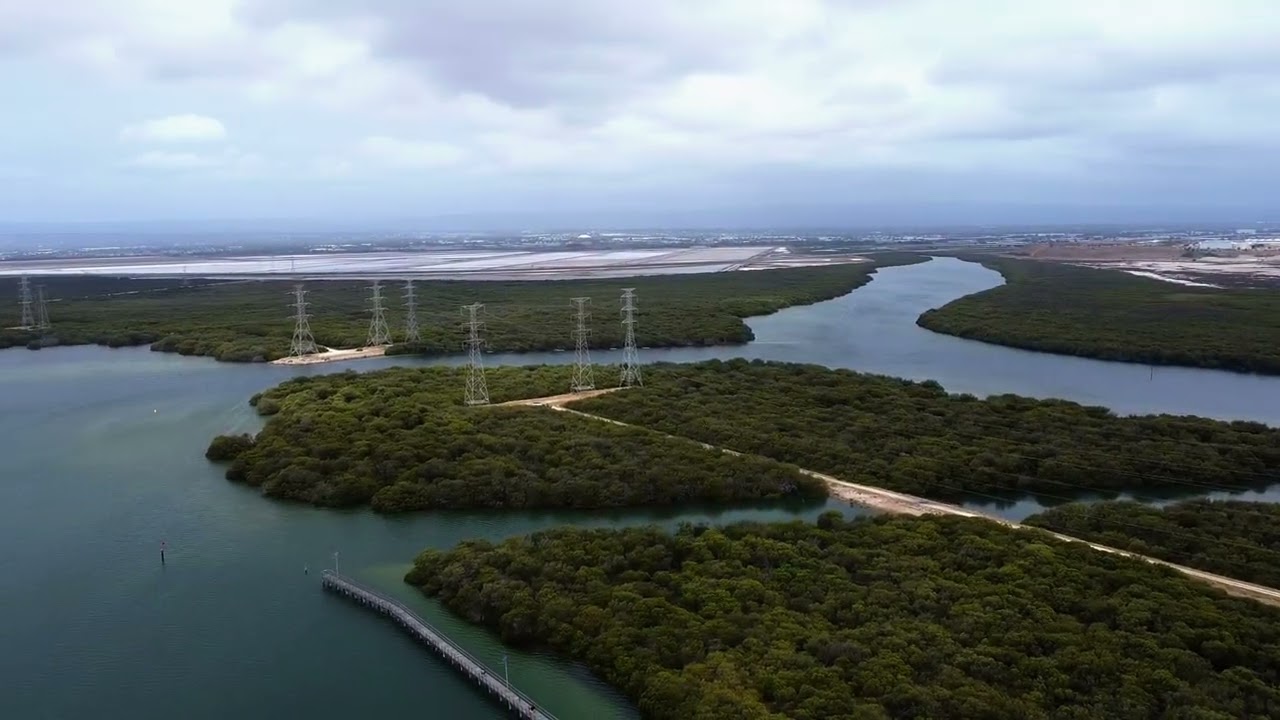 🐬 Adelaide Dolphin Sanctuary Drone Footage &ndash; A Magical Wildlife Haven! 🚁