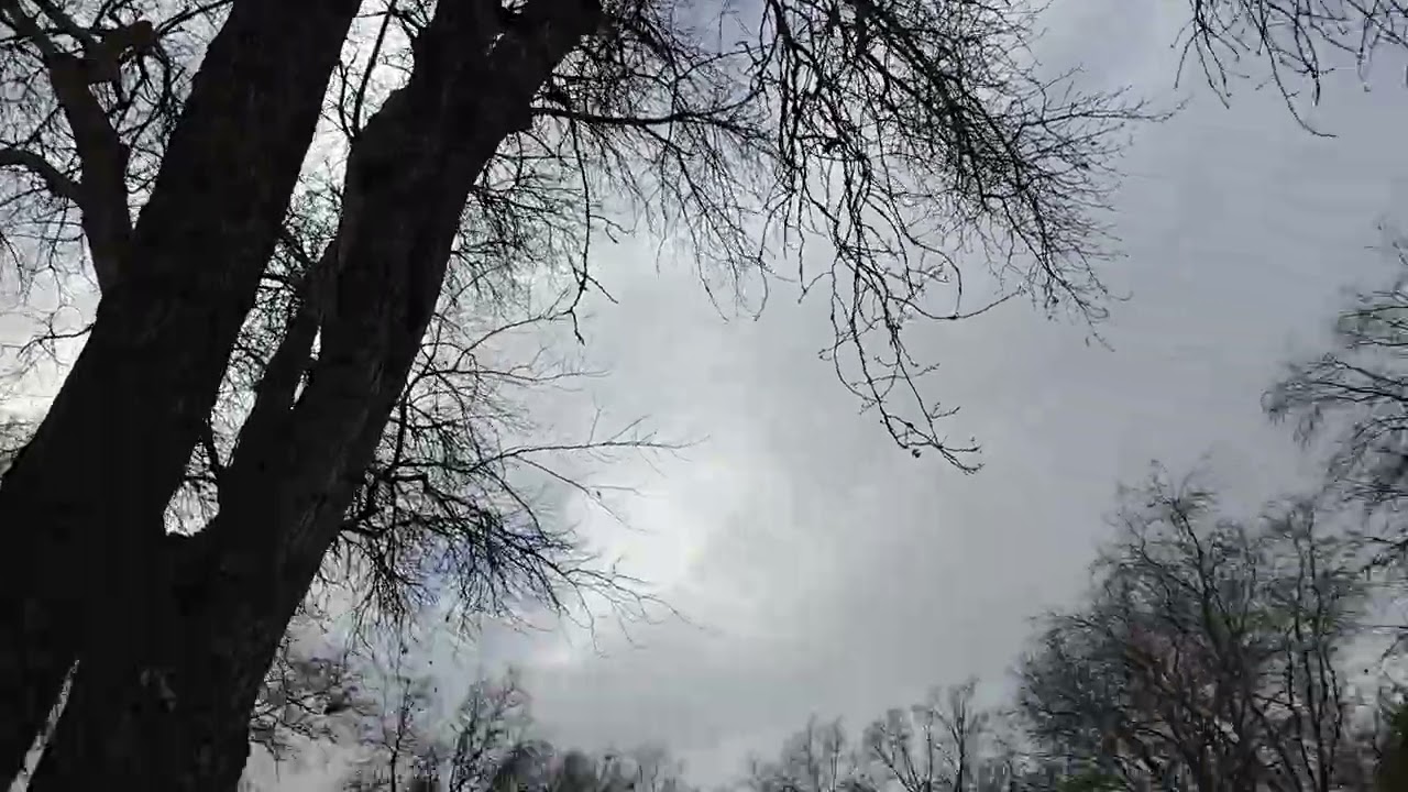 3:17pm Feb 15, 2026 - Breezy Occasionally Windy SSE To South Winds & Mostly Cloudy