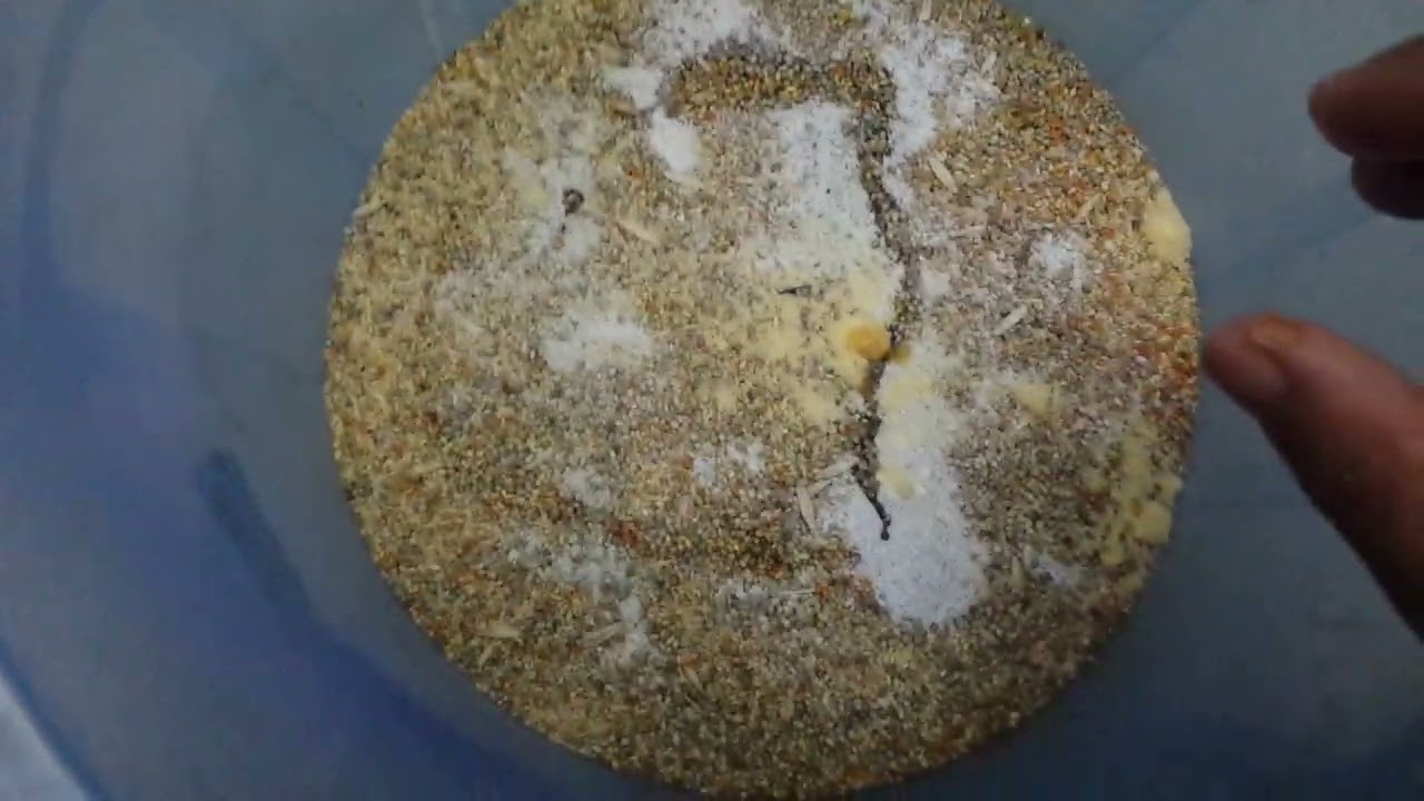 How to use azeem brothers breeding formula in seed mix for birds in Urdu/Hindi