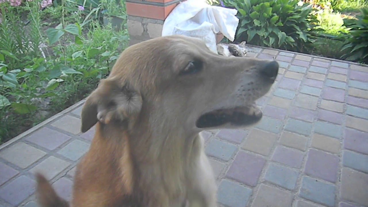 DSCN4645