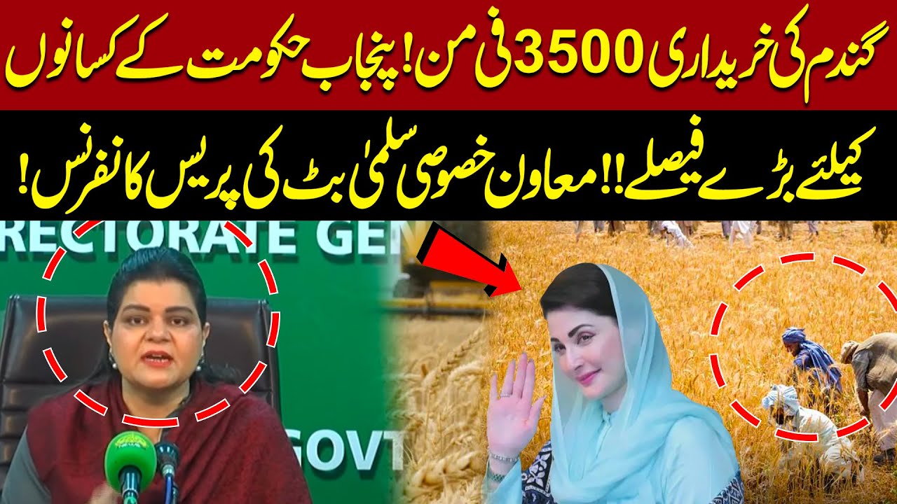 Wheat Procurement at Rs. 3500 per Maan! Punjab Government Announces Big Decisions for Farmers