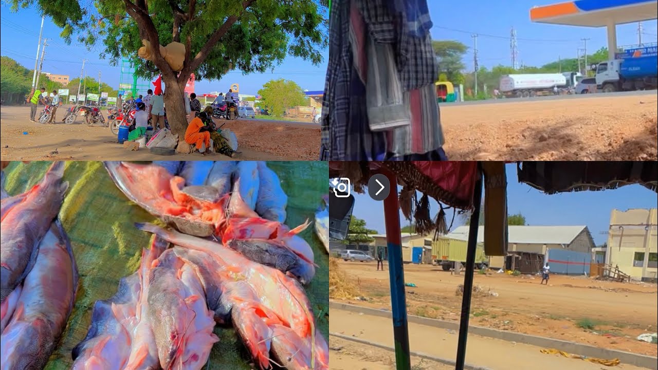 VILLAGE MARKET: See Fish Markets in the African Market and Open Air Market 