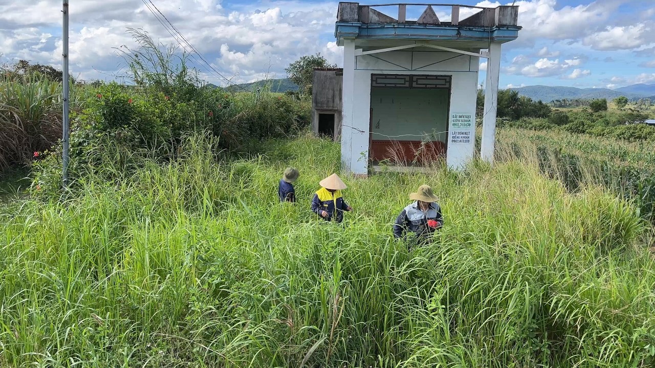 Discovering a Mysterious Abandoned House Forgotten for Years – A Journey of Unexpected Cleanup