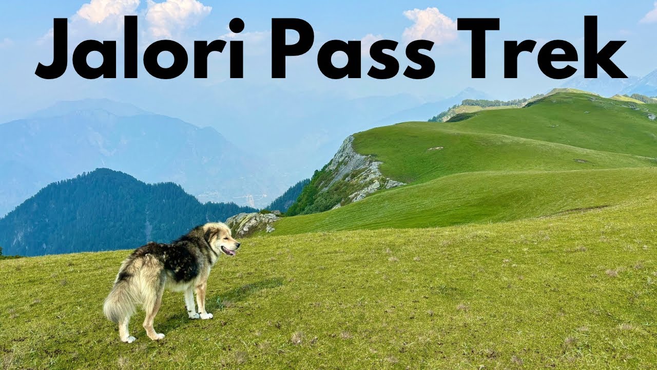 Jibhi Valley to Jalori Pass Solo Trek | An Offbeat Trekking route in Banjar Valley | The Young Monk|