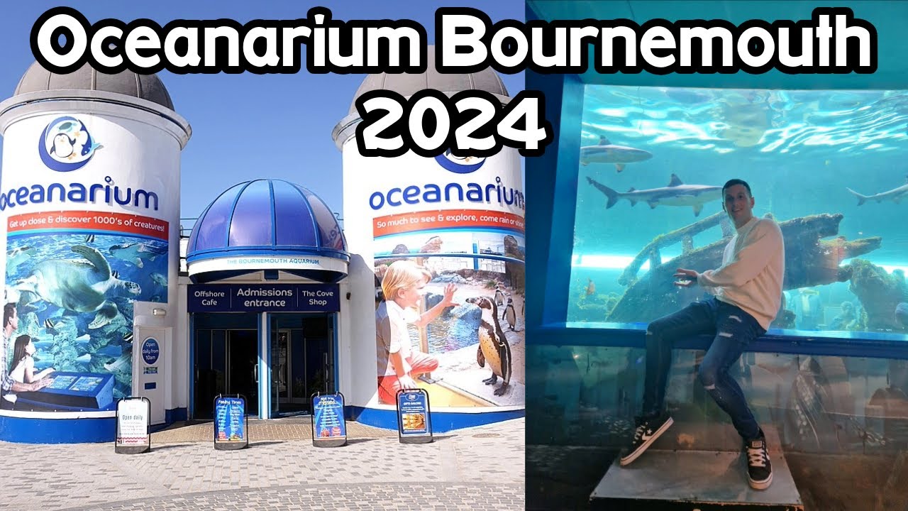 Океанариум Борнмута 2024