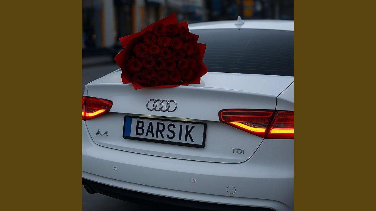 Вогонь свічі_Barsik