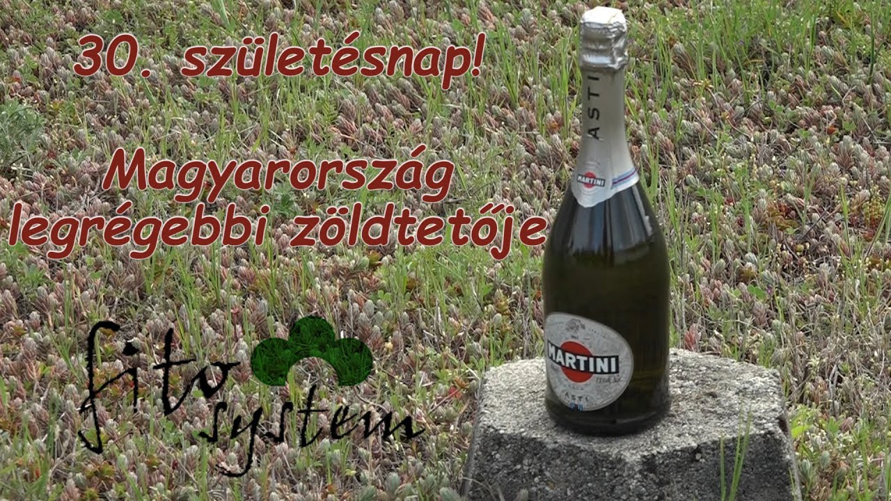30. születésnap! Magyarország legrégebbi zöldtetője