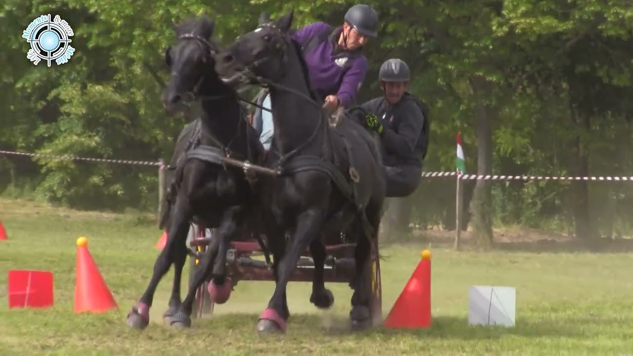 Magyar Mil&aacute;n &ouml;sszevet&eacute;s, Kar&aacute;di kombin&aacute;lt fogathajt&aacute;s | Kar&aacute;d Combined Driving Competition