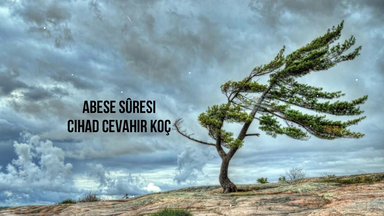 Abese Suresi Kuran Tilaveti