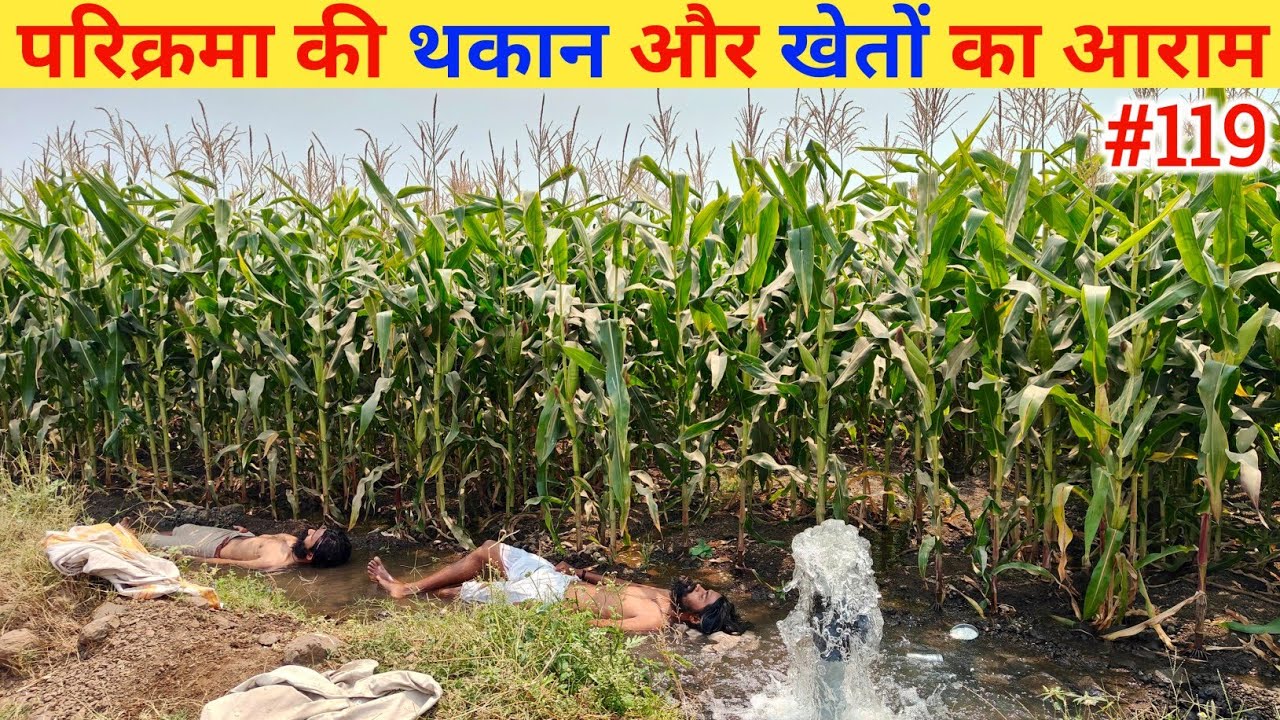 Ep- 119 Narmada Parikrama 🙏!! परिक्रमा की थकान और खेतों का आराम🙏🙏