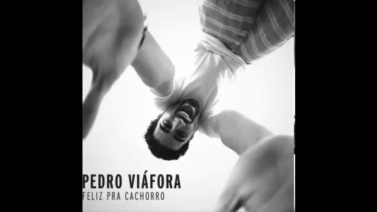 Pedro Viafora - Gargalhadas