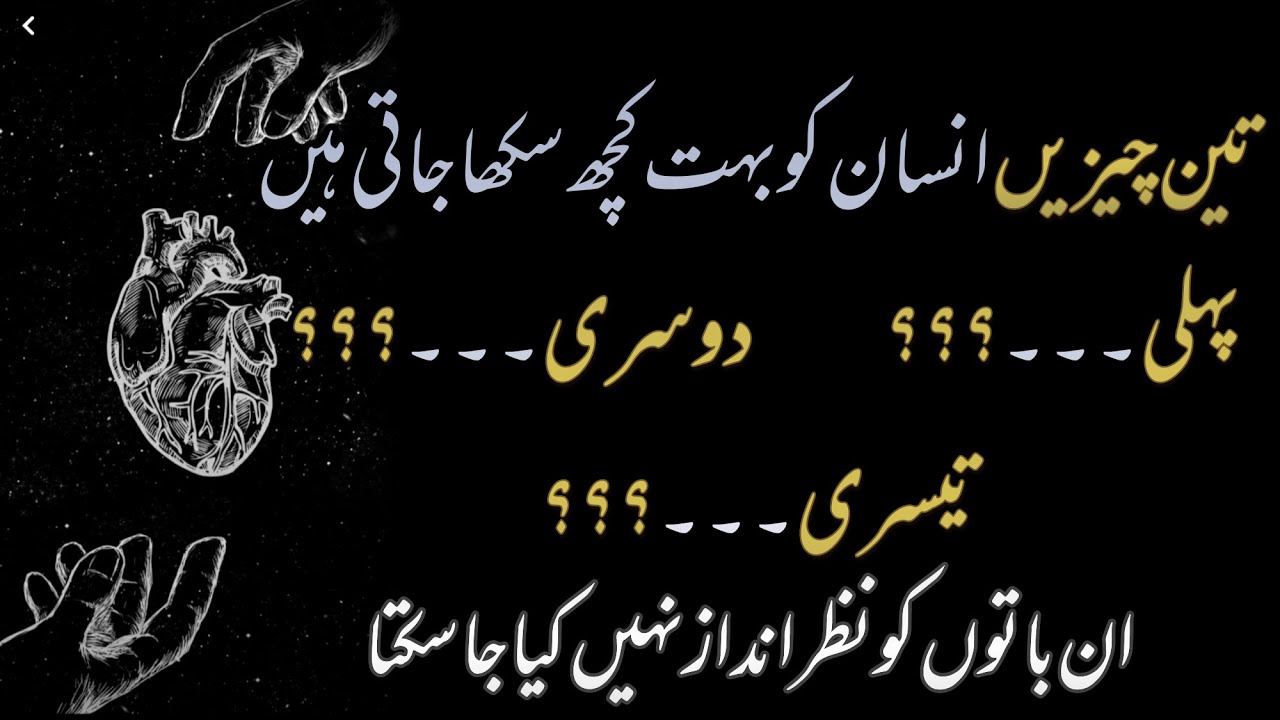 Three Things Teach A Person A Lot|Best Collection Or Urdu Quotes|Motivational Quotes|Sobi Peerzada