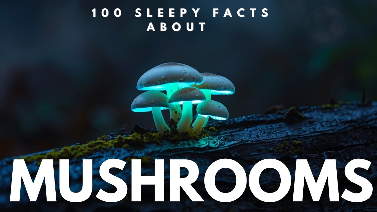 Mushroom Facts | Fall Asleep to Science 
