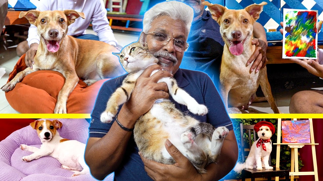 Dad tests 5 Minute Craft Hacks for our kutties 😍| COCO turned into Artist!