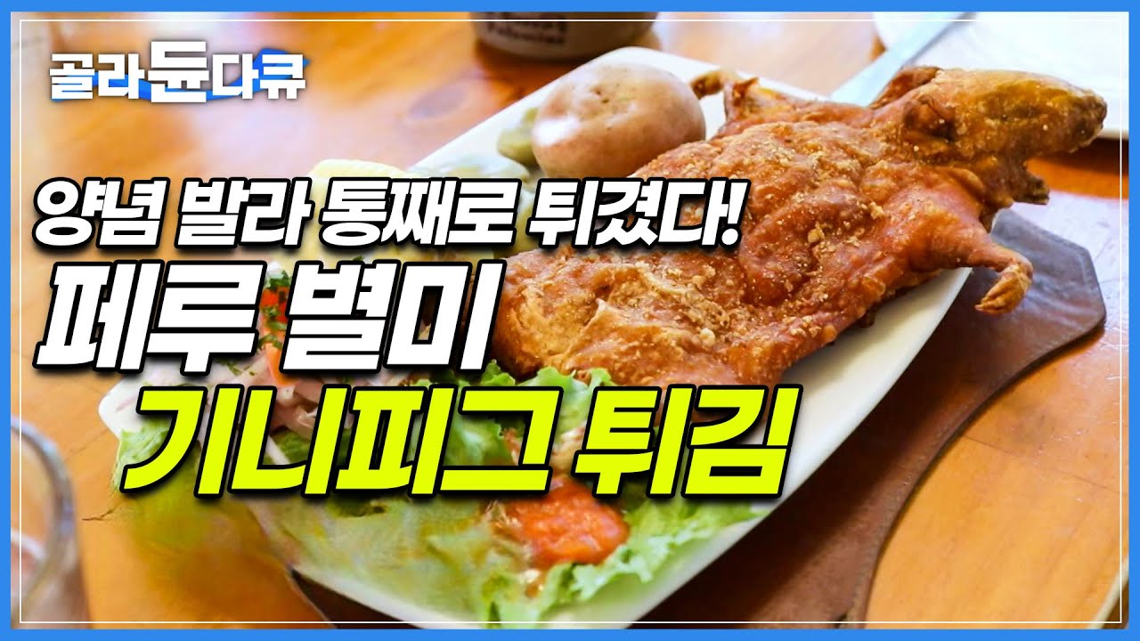 페루 전통음식 기니피그 튀김 꾸이 차타도! 현지인도 줄 서서 먹는 꼭 먹어야 하는 별미! 단백질이 많아 보양식으로도 안성맞춤│세계테마기행│#골라듄다큐