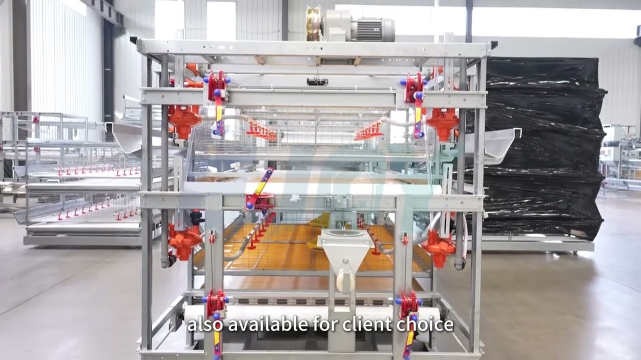 EJOY Automatic Broiler Cage — Efficiency & Durability Redefined!