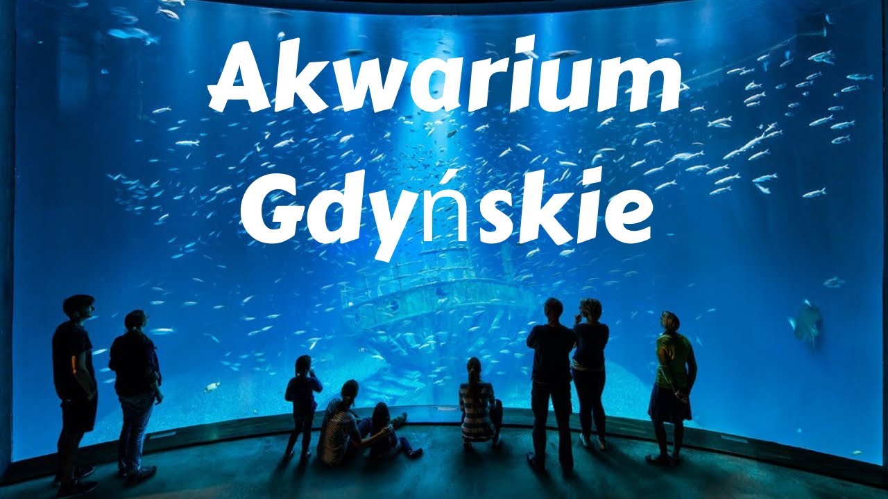 Akwarium Gdyńskie | Oceanarium w Gdyni | Poland Travel Vlog