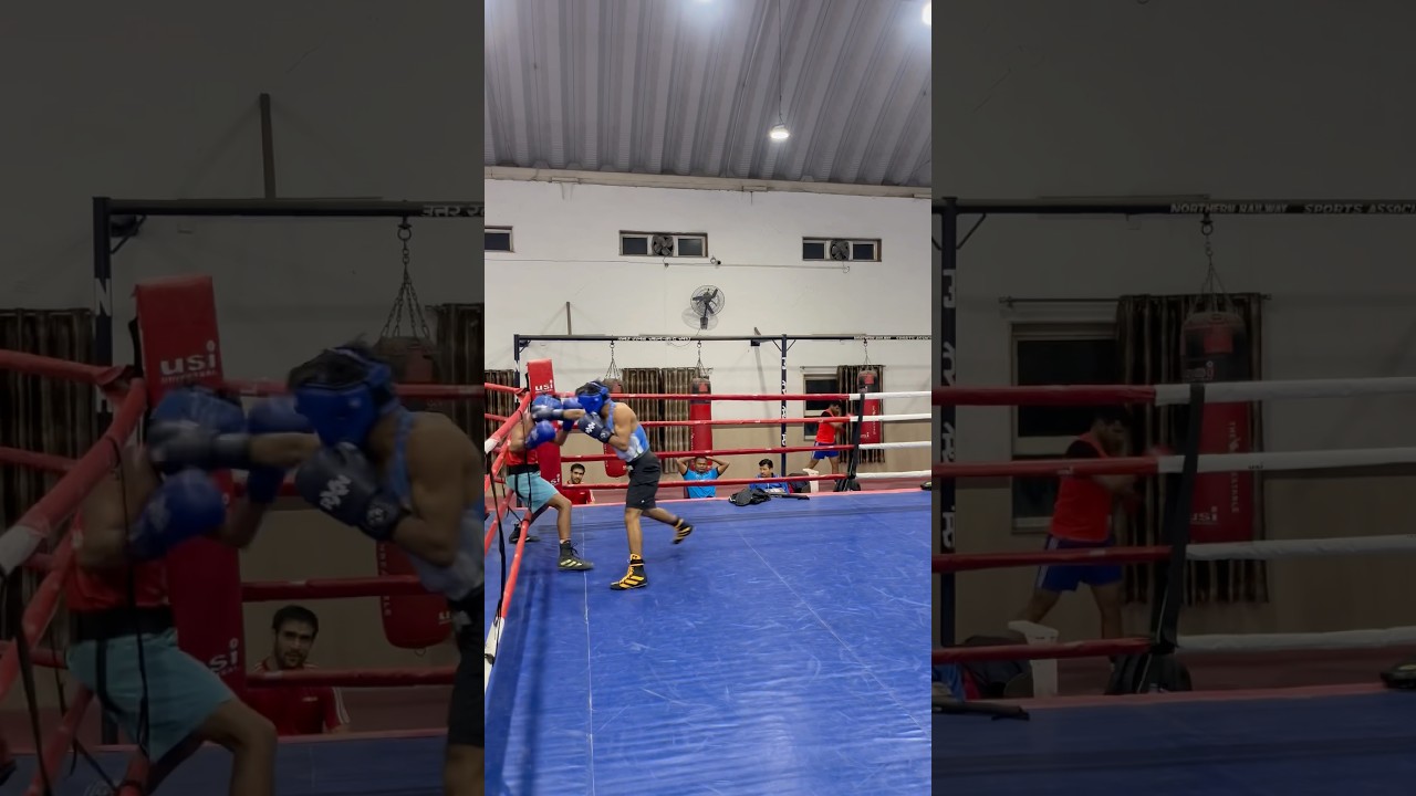 Boxing sparing #boxing #boxingfederationofindia #boxingindia #boxingworkout #india