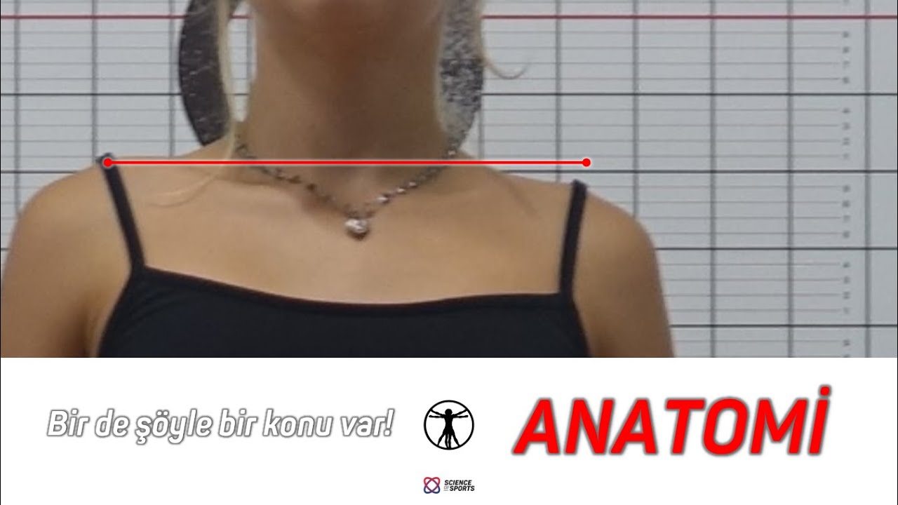 S.o.S.Fitt Anatomi Konularına Giriş - Spor Eğitmenliği Öğrencisimiz :) - B03 P04
