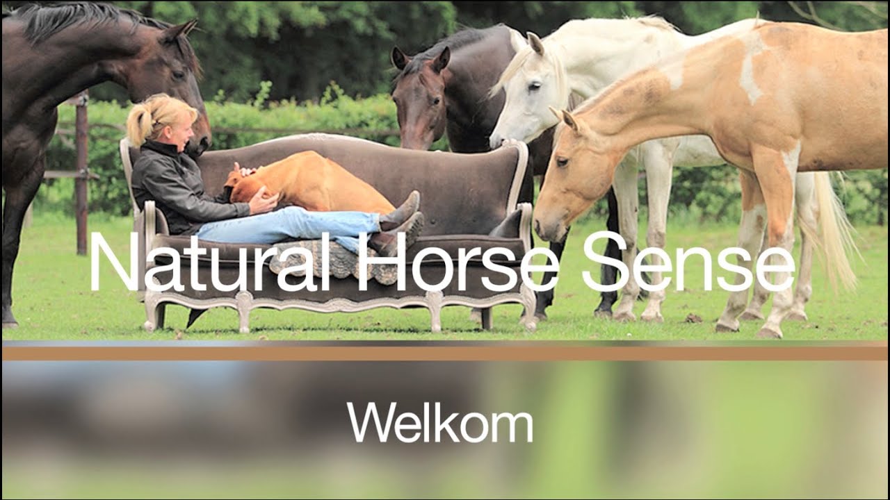 Dit is Natural Horse Sense