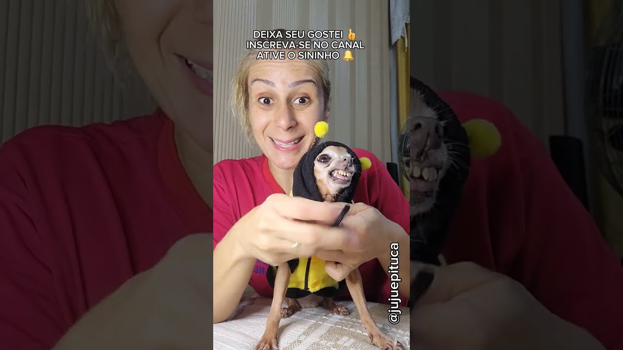PINSCHER COLOCA ROUPA DE ABELHA E SAI VOANDO