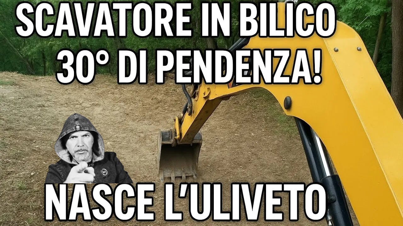Nuovo uliveto - Preparazione terreno con sovescio e organico