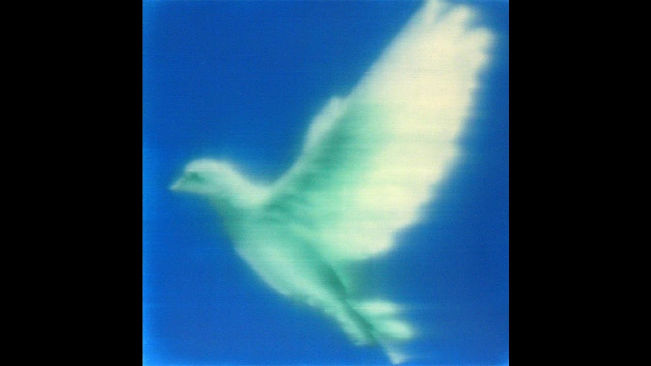 [free] 