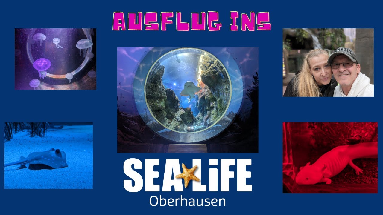 SeaLife Oberhausen März 2024