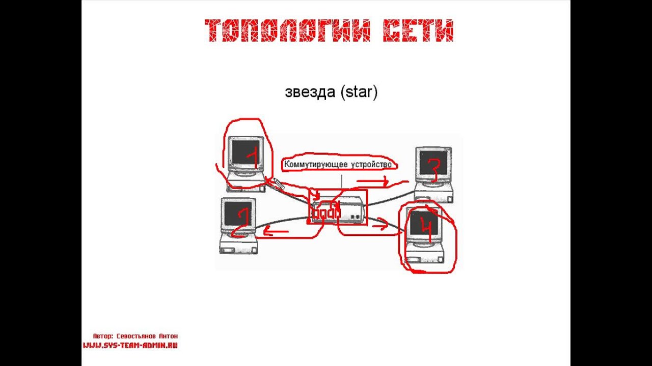 Топологии сетей
