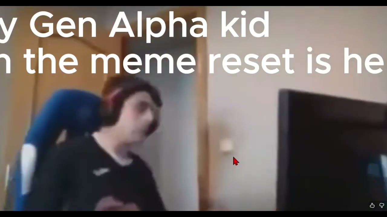 Every Gen Alpha kid when the meme reset happens