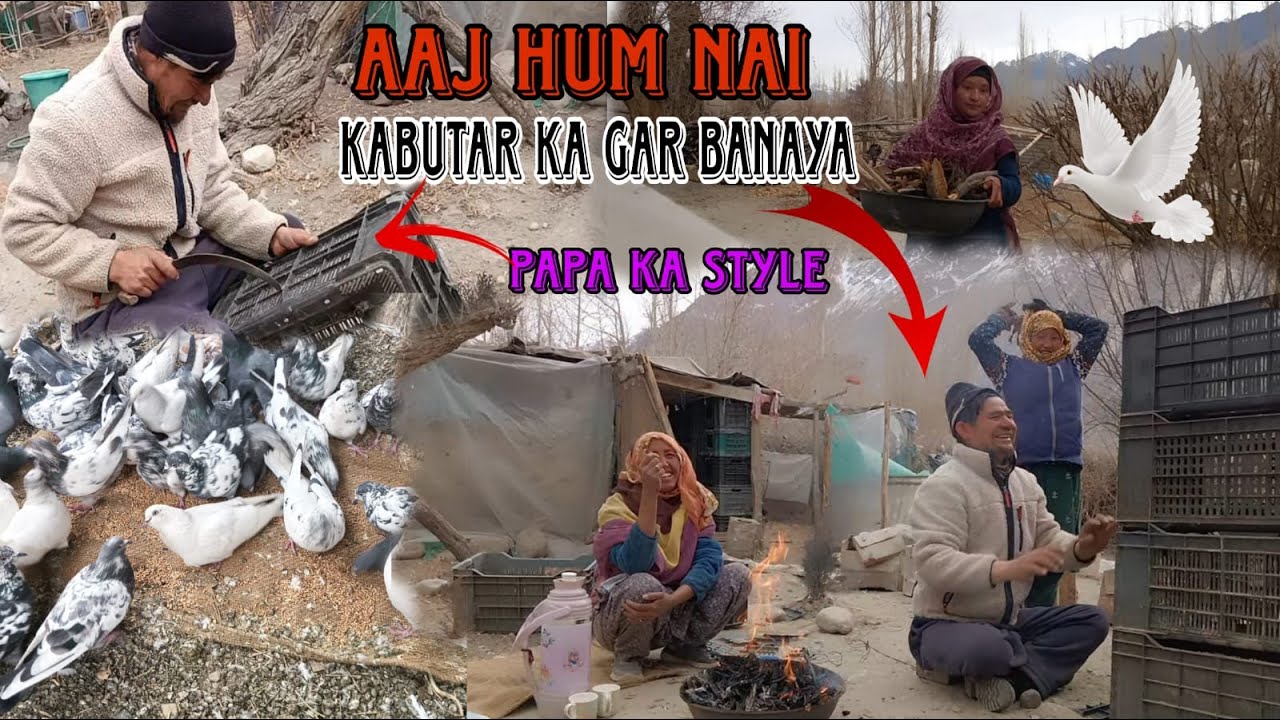 mai aur mama ration nekal nai geya🛻||papa aour mama nai pigeon ka  gar banaya🕊️||ladakhi youtuber