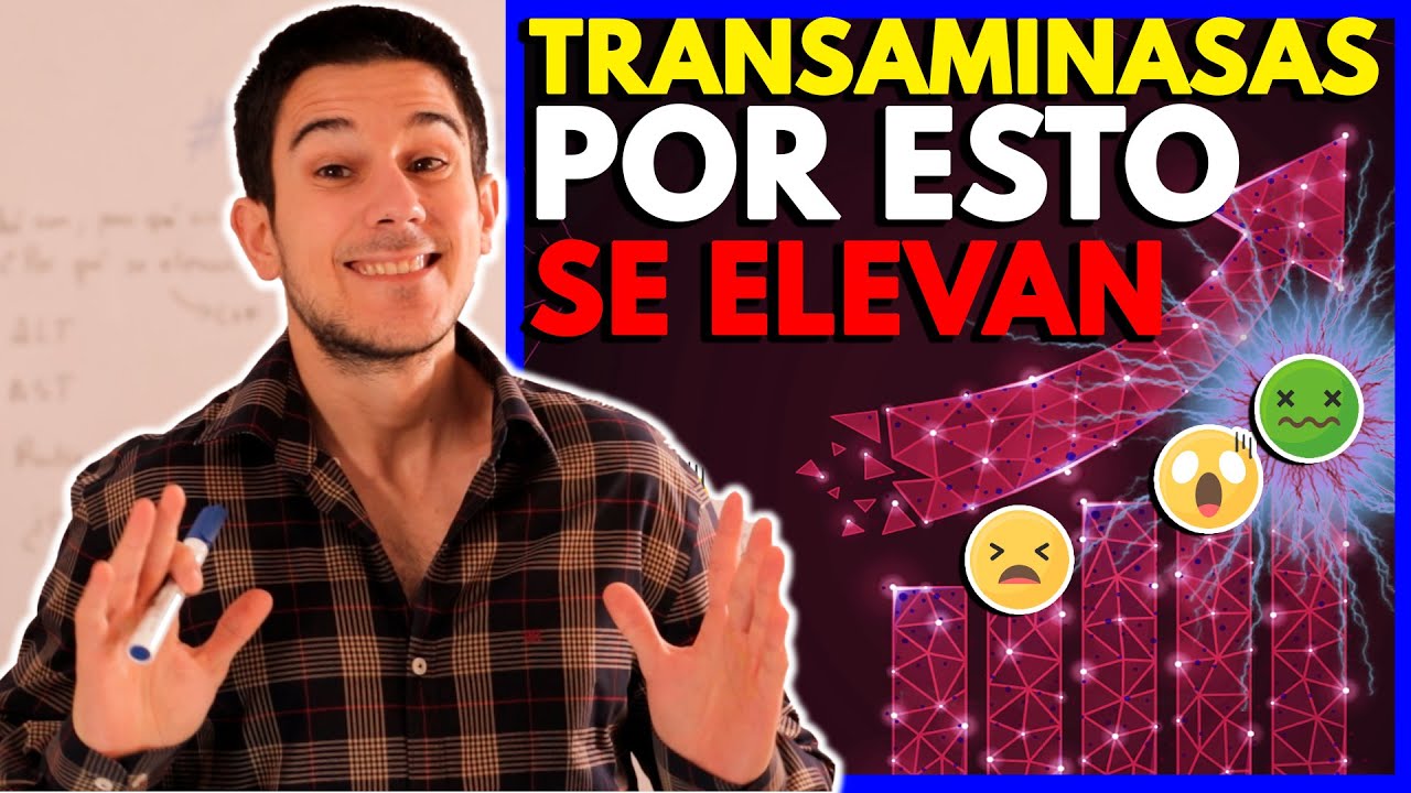 TRANSAMINASAS: ¿Qué Son? ¿Por Qué Las Tengo ELEVADAS? *Guía Completa*