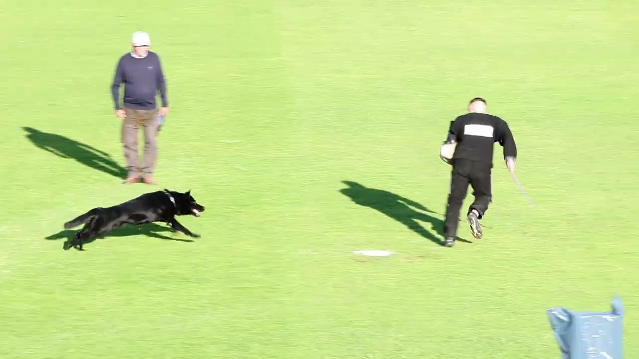 Ende der SV BSP 2025 Videos