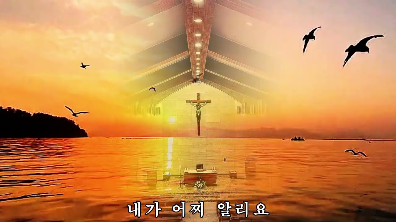 사순시기 우리 모두가 부활의 빛을 향해 한 걸음 더 가까이 나아가길 기도합니다.