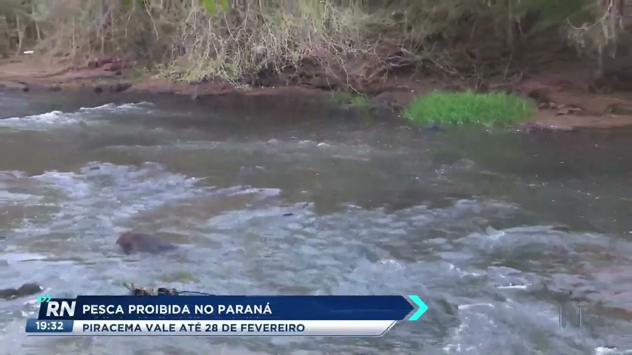 Pesca proibida no rio Piracema: vale at&eacute; 28 de fevereiro no Paran&aacute;
