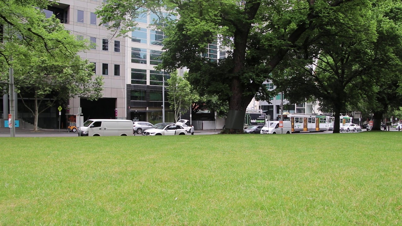 A-class trams passing Flagstaff Gardens