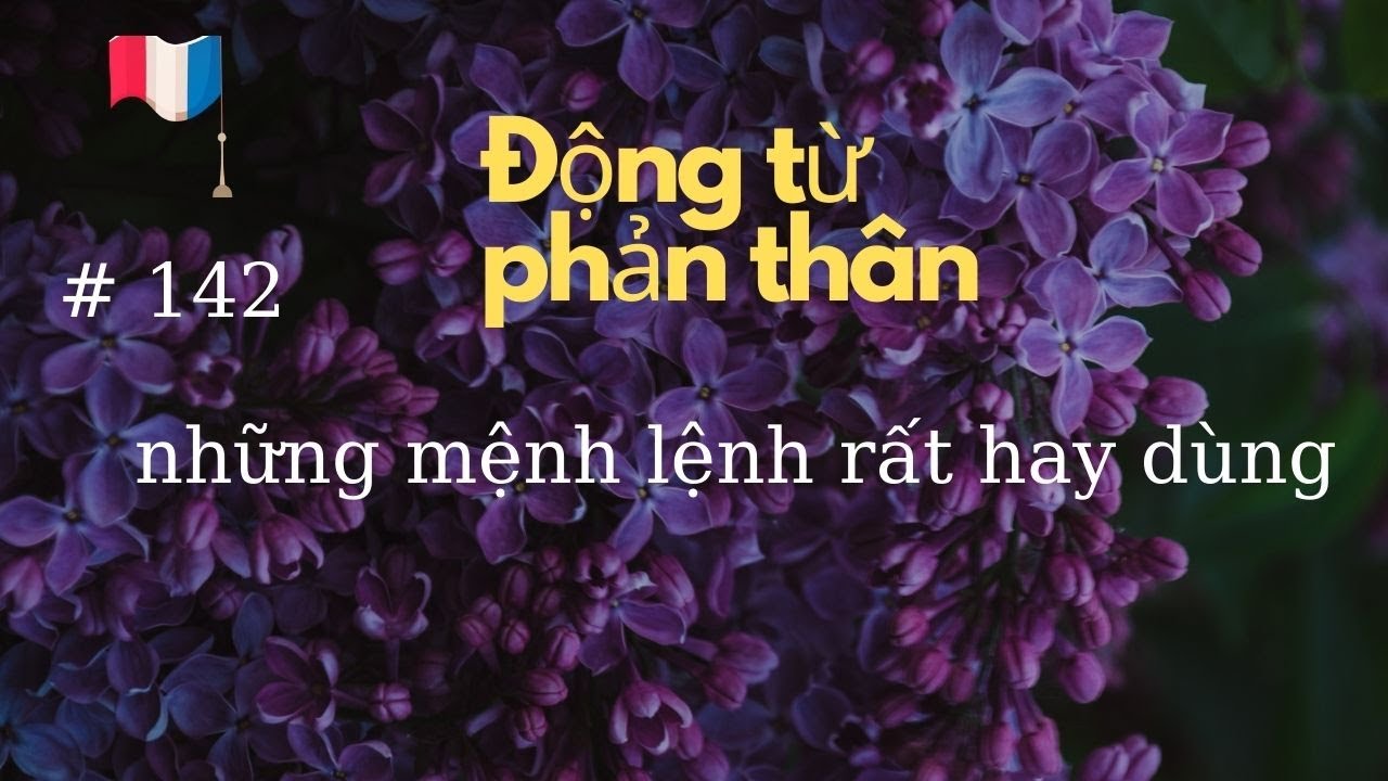 # 142 - Động từ phản thân - những mệnh lệnh rất hay dùng