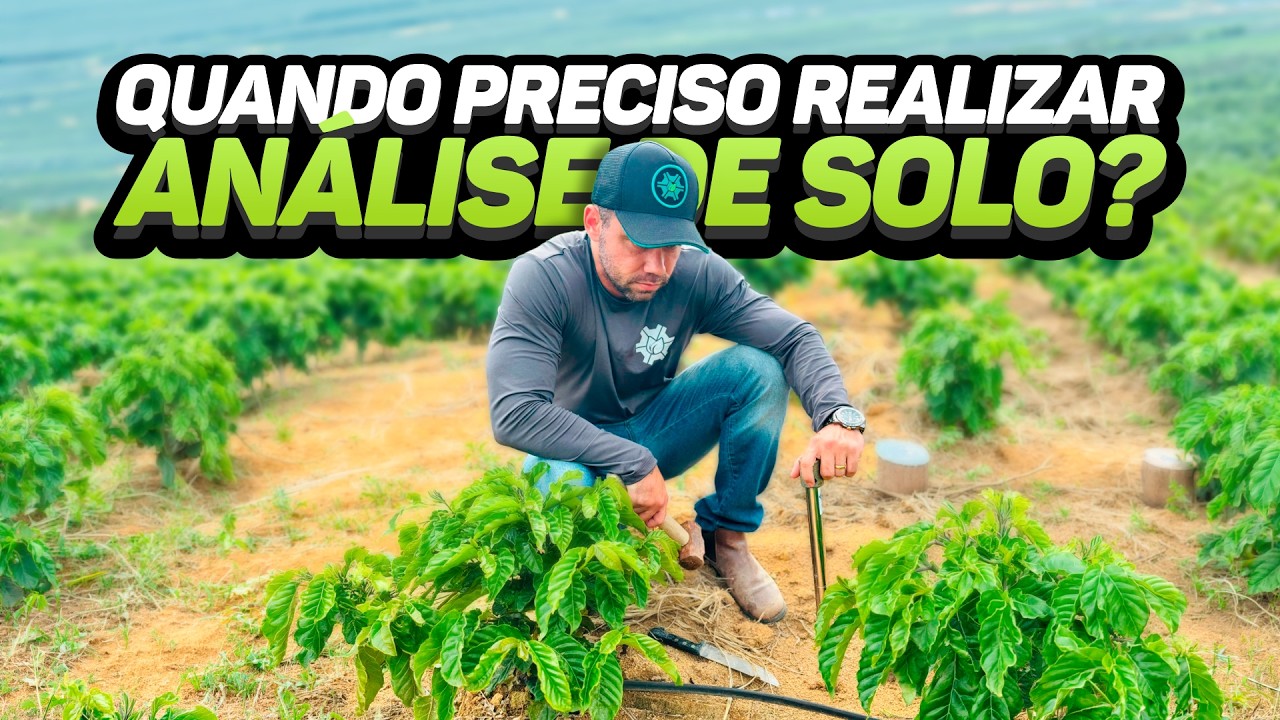 QUANDO PRECISO REALIZAR ANÁLISE DE SOLO?