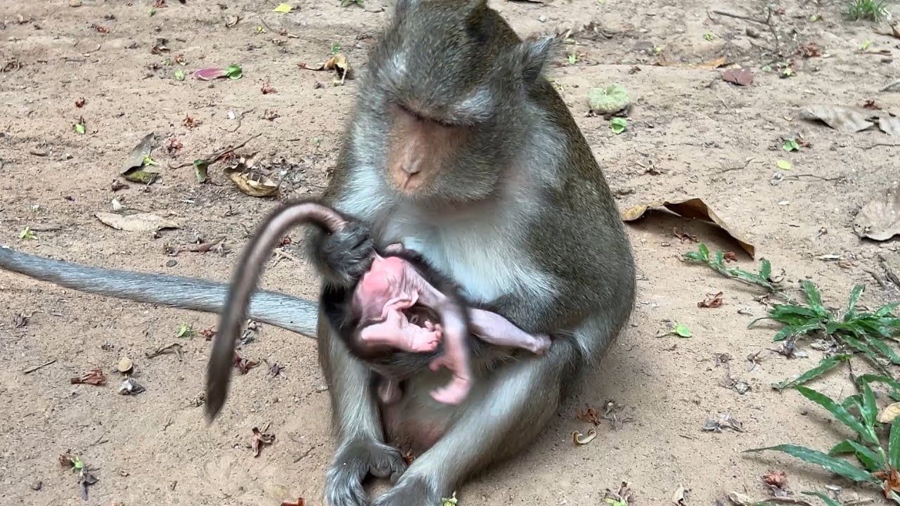 A beautiful mom Anna does double check cute tiny Baby Amina  clean
