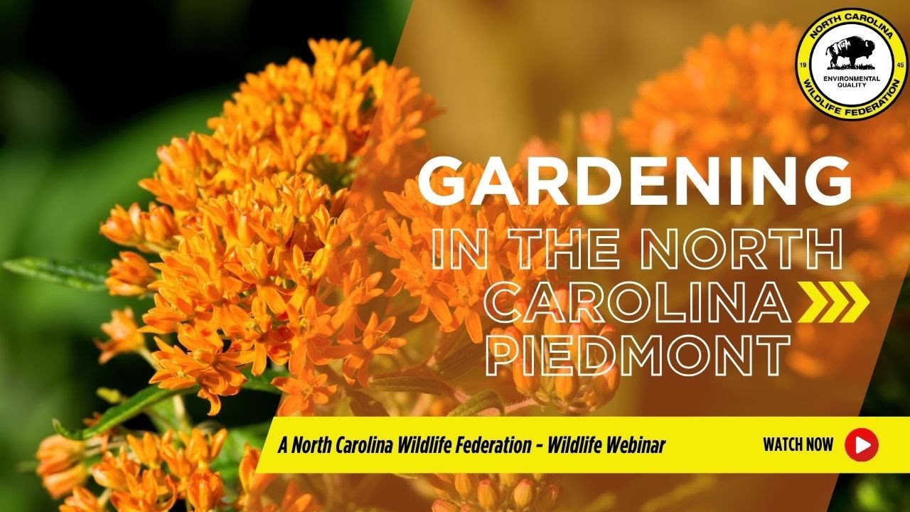 Gardening in the North Carolina Piedmont - North Carolina Wildlife Federation