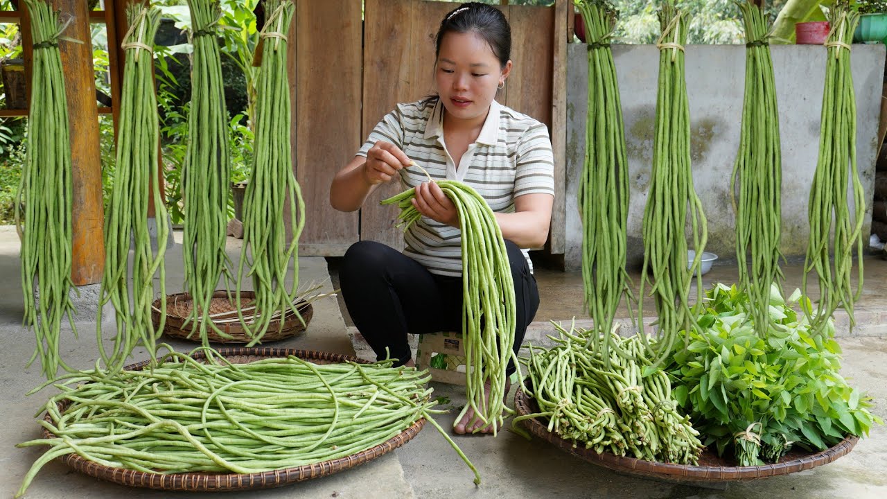 Harvest Cove Beans in the Garden and Bring Them to the Market to Sell - How to Make Mixed Fried Rice