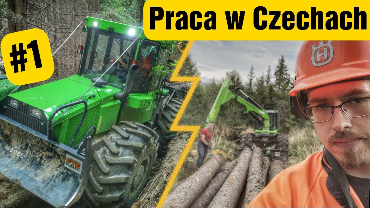 Praca w czeskich lasach || EQUUS 175 || Okiem ZULa