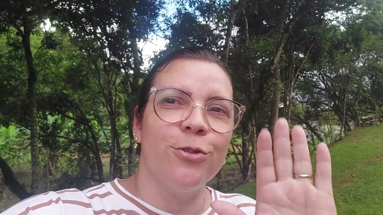 roçando a parte alta da chácara/os passarinhos voaram